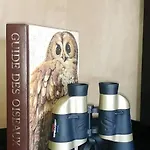 Bois Le Colibri A Chambley