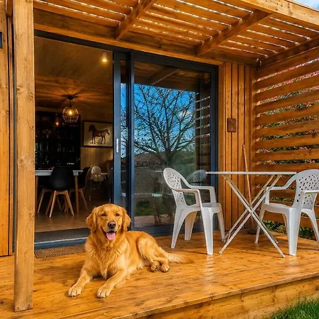 Holiday home Bois Le Colibri A Chambley