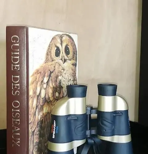 Bois Le Colibri A Chambley